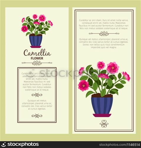 Camellia flower in pot vector advertising banners for shop design. Camellia flower in pot banners
