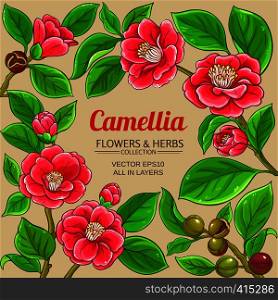 camellia vector frame on color background. camellia vector frame