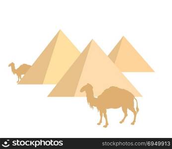 Camels and pyramids on white