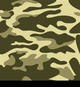 Camouflage pattern background seamless vector