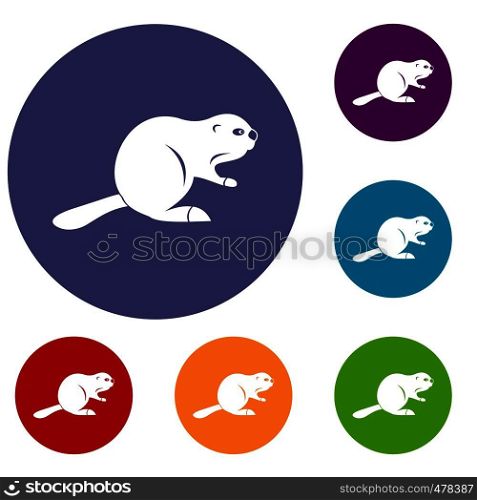 Canadian beaver icons set in flat circle red, blue and green color for web. Canadian beaver icons set