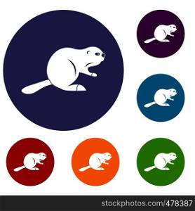 Canadian beaver icons set in flat circle red, blue and green color for web. Canadian beaver icons set