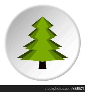 Canadian fir icon in flat circle isolated on white vector illustration for web. Canadian fir icon circle