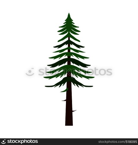 Canadian fir icon in flat style isolated on white background. Canadian fir icon, flat style