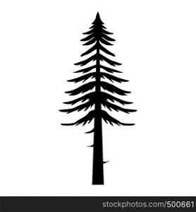 Canadian fir icon in simple style isolated on white background. Canadian fir icon, simple style