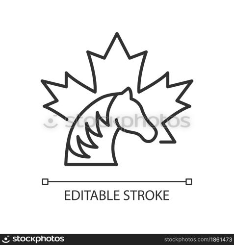 Canadian horse linear icon. National heritage and symbol of Canada. Rare breed. Strong stallion. Thin line customizable illustration. Contour symbol. Vector isolated outline drawing. Editable stroke. Canadian horse linear icon