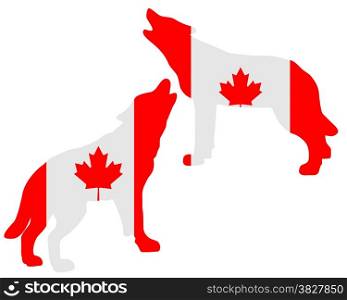 Canadian howling wolves