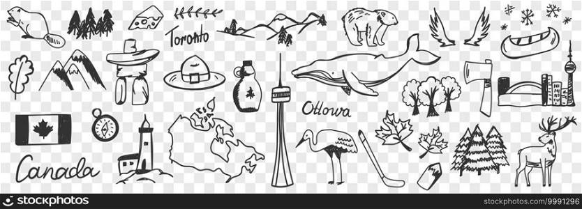 Canadian symbols and signs doodle set. Collection of hand drawn canadian traditional maple leaf flag wildlife mountains deers snow heron beer whale and names isolated on transparent background. Canadian symbols and signs doodle set