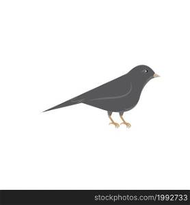 canary bird vector illustration design template web