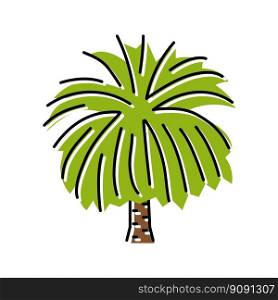canary island date palm color icon vector. canary island date palm sign. isolated symbol illustration. canary island date palm color icon vector illustration