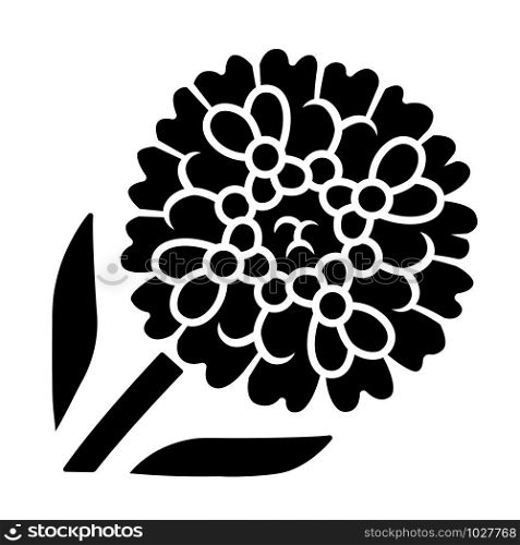 Candytuft glyph icon. Aster garden flower. Iberis evergreen perennial plant. Blooming wildflower. Spring blossom. Silhouette symbol. Negative space. Vector isolated illustration
