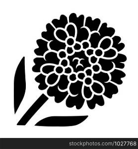 Candytuft glyph icon. Aster garden flower. Iberis evergreen perennial plant. Blooming wildflower. Spring blossom. Silhouette symbol. Negative space. Vector isolated illustration