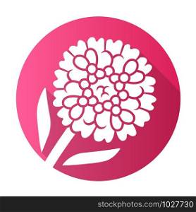 Candytuft pink flat design long shadow glyph icon. Aster garden flower. Iberis evergreen perennial plant. Blooming wildflower. Spring blossom. Vector silhouette illustration