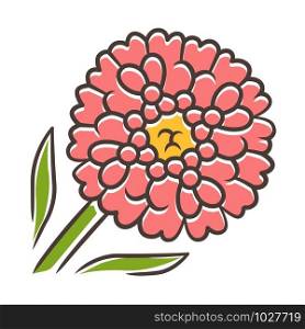 Candytuft red color icon. Aster garden flower. Iberis evergreen perennial plant. Blooming wildflower. Spring blossom. Isolated vector illustration