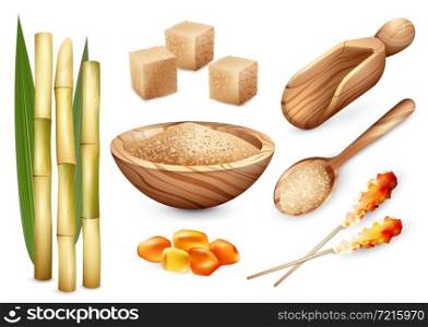 Cane sugar set with isolated images of sand sugar in wooden plate spoon bail and candy sweets vector illustration. Cane Sugar Sweets Set