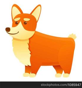 Canine corgi dog icon. Cartoon of canine corgi dog vector icon for web design isolated on white background. Canine corgi dog icon, cartoon style