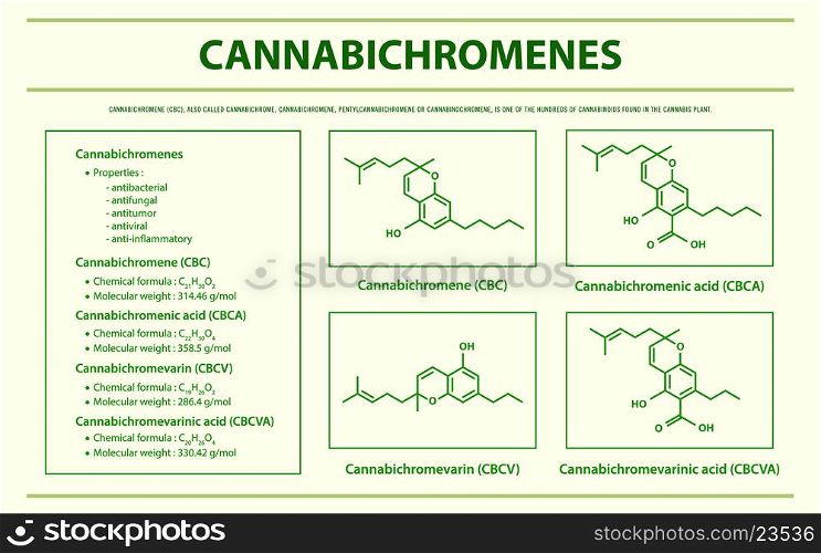 Cannabichromene CBC with Structural Formulas in Cannabis horizontal infographic illustration about cannabis as herbal alternative medicine and chemical therapy, healthcare and medical science vector.