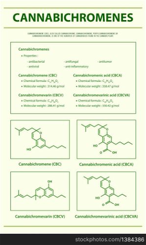 Cannabichromene CBC with Structural Formulas in Cannabis vertical infographic illustration about cannabis as herbal alternative medicine and chemical therapy, healthcare and medical science vector.