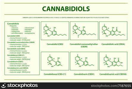 Cannabidiol CBD with Structural Formulas in Cannabis horizontal infographic illustration about cannabis as herbal alternative medicine and chemical therapy, healthcare and medical science vector.