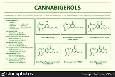 Cannabigerol CBG with Structural Formulas in Cannabis horizontal infographic illustration about cannabis as herbal alternative medicine and chemical therapy, healthcare and medical science vector.