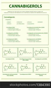 Cannabigerol CBG with Structural Formulas in Cannabis vertical infographic illustration about cannabis as herbal alternative medicine and chemical therapy, healthcare and medical science vector.