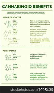 Cannabinoid Benefits vertical infographic illustration about cannabis as herbal alternative medicine and chemical therapy, healthcare and medical science vector.