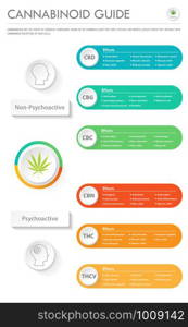 Cannabinoid Guide vertical business infographic illustration about cannabis as herbal alternative medicine and chemical therapy, healthcare and medical science vector.