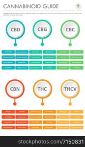 Cannabinoid Guide vertical business infographic illustration about cannabis as herbal alternative medicine and chemical therapy, healthcare and medical science vector.
