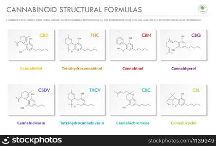 Cannabinoid Structural Formulas horizontal business infographic illustration about cannabis as herbal alternative medicine and chemical therapy, healthcare and medical science vector.