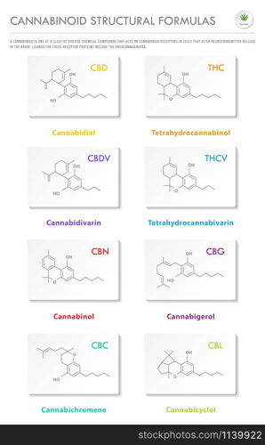 Cannabinoid Structural Formulas vertical business infographic illustration about cannabis as herbal alternative medicine and chemical therapy, healthcare and medical science vector.