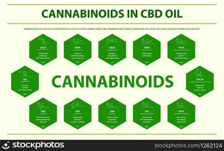 Cannabinoids in CBD Oil with Structural Formulas horizontal infographic illustration about cannabis as herbal alternative medicine and chemical therapy, healthcare and medical science vector.