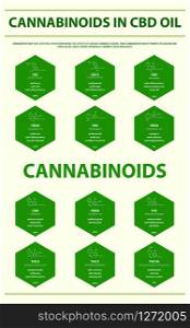 Cannabinoids in CBD Oil with Structural Formulas vertical infographic illustration about cannabis as herbal alternative medicine and chemical therapy, healthcare and medical science vector.