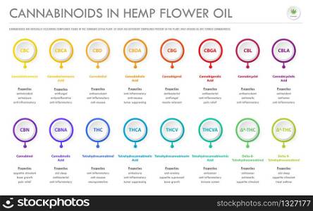 Cannabinoids in Hemp Flower Oil horizontal business infographic illustration about cannabis as herbal alternative medicine and chemical therapy, healthcare and medical science vector.
