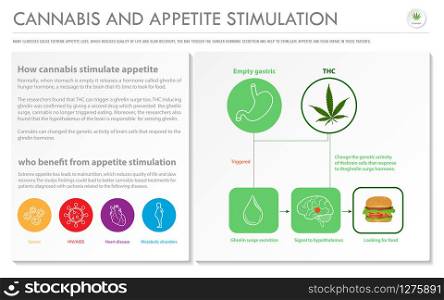 Cannabis and Appetite Stimulation horizontal business infographic illustration about cannabis as herbal alternative medicine and chemical therapy, healthcare and medical science vector.