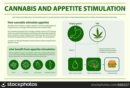 Cannabis and Appetite Stimulation horizontal infographic illustration about cannabis as herbal alternative medicine and chemical therapy, healthcare and medical science vector.