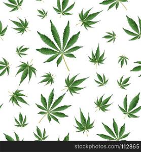 Cannabis Background. Marijuana Hemp Texture. Cannabis Background. Marijuana Hemp Texture. Green Leaf Hashish
