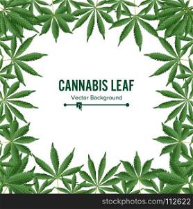 Cannabis Background. Vector Marijuana Frame. Green Leaf. Cannabis Background. Vector Marijuana Frame Green Leaf