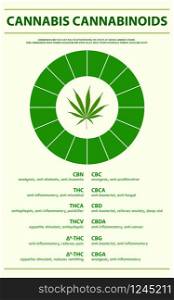 Cannabis Cannabinoids vertical infographic illustration about cannabis as herbal alternative medicine and chemical therapy, healthcare and medical science vector.