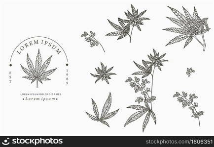 cannabis collection.Vector illustration for icon,sticker,printable