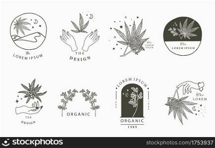 cannabis collection with bottle,mountain,hand.Vector illustration for icon,sticker,printable