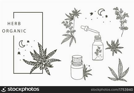 cannabis collection with bottle,oil,hand.Vector illustration for icon,sticker,printable