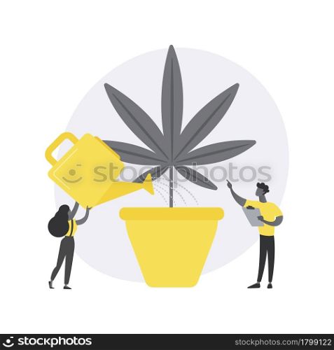 Cannabis cultivation abstract concept vector illustration. Cannabis farm, medical marijuana cultivation, CBD business, indoors growing equipment, greenhouse, recreational drug abstract metaphor.. Cannabis cultivation abstract concept vector illustration.