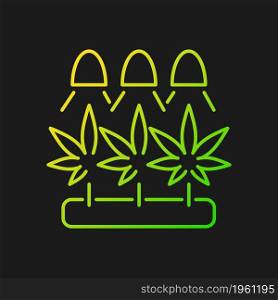 Cannabis cultivation gradient vector icon for dark theme. Grow herbs under artificial light. Marijuana seed germination. Thin line color symbol. Modern style pictogram. Vector isolated outline drawing. Cannabis cultivation gradient vector icon for dark theme