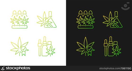 Cannabis growing gradient icons set for dark and light mode. Medical research. Quality control. Thin line contour symbols bundle. Isolated vector outline illustrations collection on black and white. Cannabis growing gradient icons set for dark and light mode