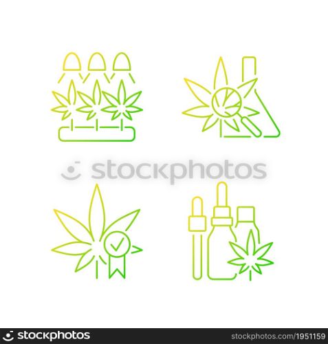 Cannabis growing gradient linear vector icons set. Medical research. Quality certification. Hemp oil tincture. Thin line contour symbols bundle. Isolated outline illustrations collection. Cannabis growing gradient linear vector icons set