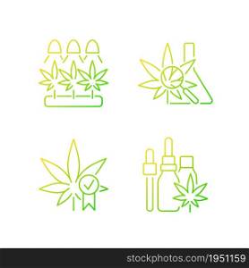 Cannabis growing gradient linear vector icons set. Medical research. Quality certification. Hemp oil tincture. Thin line contour symbols bundle. Isolated outline illustrations collection. Cannabis growing gradient linear vector icons set