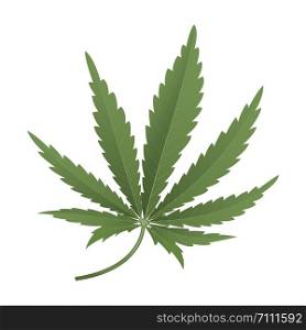 Cannabis leaf. Green marijuana isolated on white background. Herbal medicine herb plant. Vector illustration