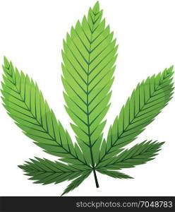 Cannabis Leaf. Illustration of a green cannabis leaf from marijuana plant