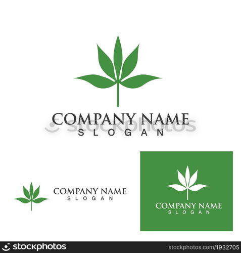 Cannabis leaf logo and symbol vector