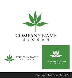 Cannabis leaf logo and symbol vector